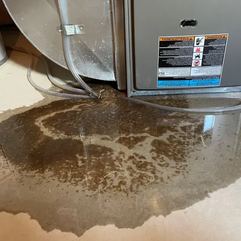 Pipe Burst and Leak Restoration in Bloomingdale, DC