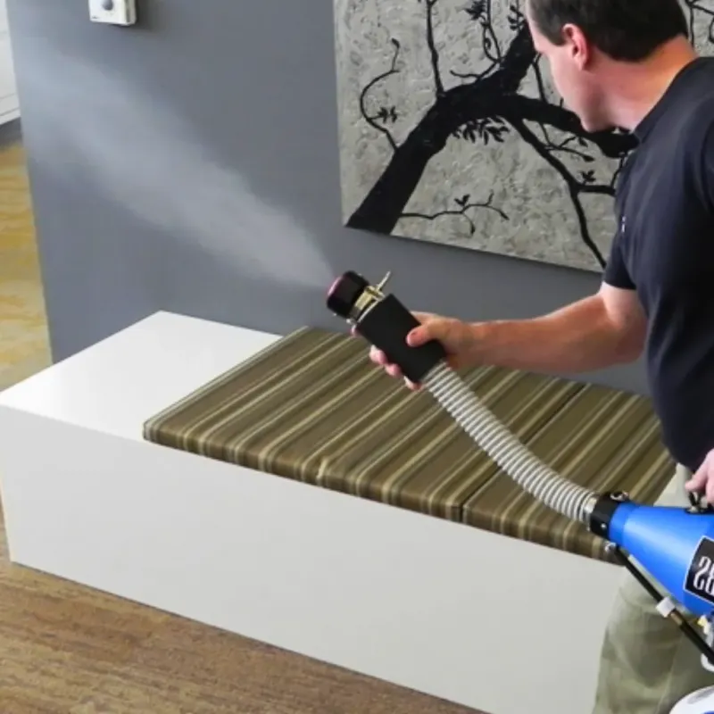 Professional Odor Removal in Bloomingdale, DC